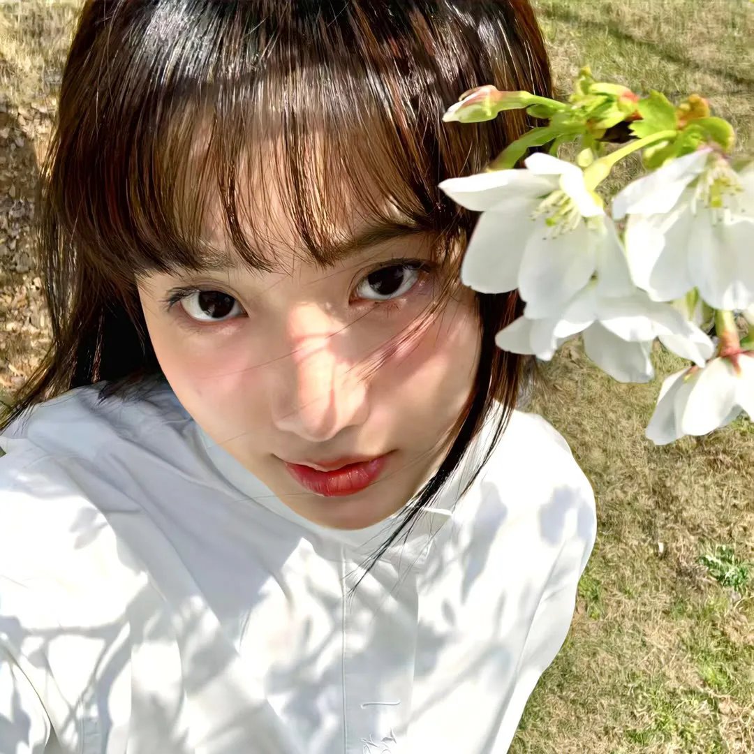来自美国的莫里斯